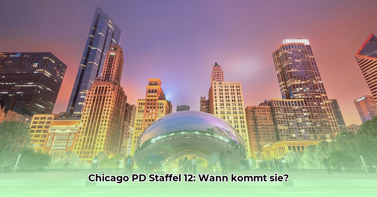chicago-pd-staffel-12-deutschland